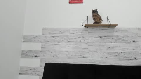 Jaycreedd online show from 30, 9, 2025