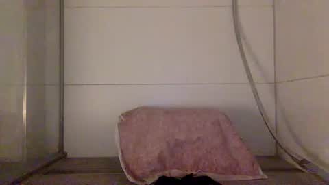 Snapshot of jayzee1996 chatting on 9, 10, 2025 Hafte online show from 9, 10, 2025