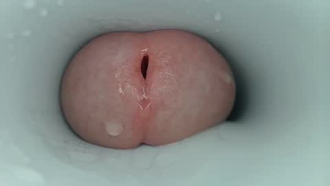 Snapshot of jeffrodgerschaturbat chatting on 3, 10, 2025 jeffrodgerschaturbat online show from 3, 10, 2025