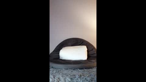 Jenny Star online show from 8, 2, 2026