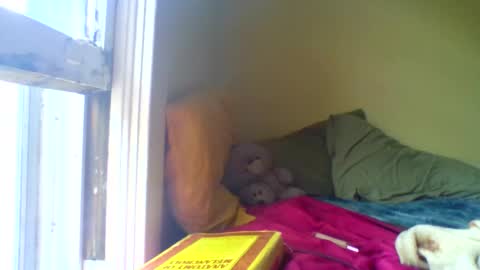 Jenn -  come to my onlyfans online show from 17, 4, 2026