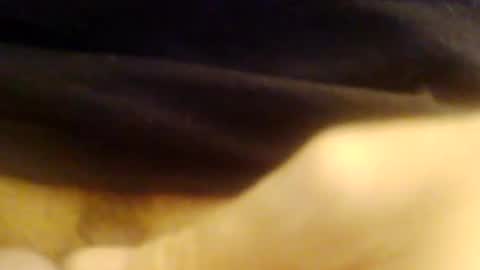 JoeEBear online show from 9, 12, 2024