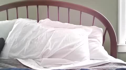 Snapshot of jerkingmanforyou chatting on 15, 3, 2026 jerkingmanforyou online show from 15, 3, 2026