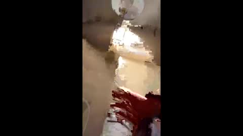 KingIceJersey online show from 30, 3, 2026