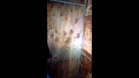 jessemwl8 online show from 26, 3, 2026