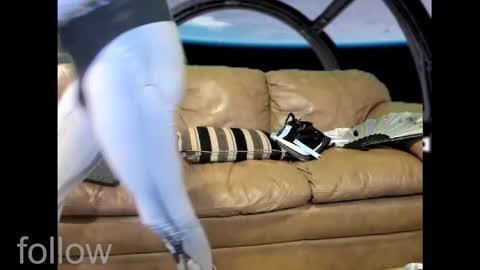 seductress Cyber Succubus online show from 28, 10, 2025