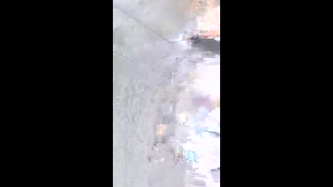 Snapshot of jesusayala1000 chatting on 4, 3, 2026 nashbridge1000 online show from 4, 3, 2026