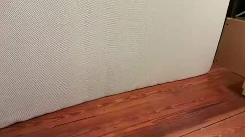 me online show from 16, 1, 2026