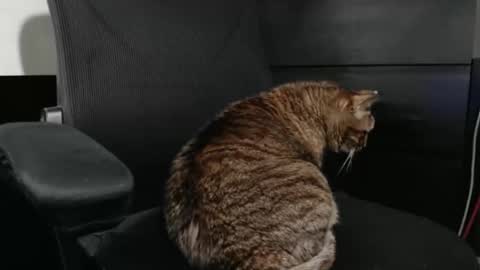 jhnbsomersxh0v1 online show from 30, 3, 2026