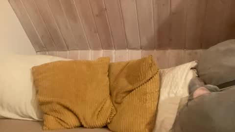 Kitty online show from 26, 11, 2025