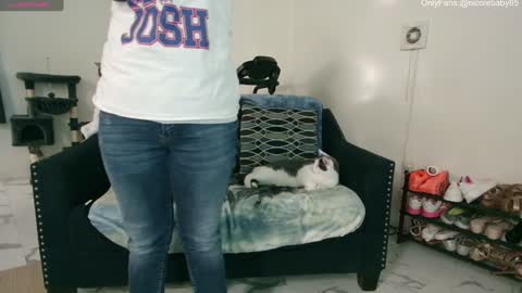 Snapshot of jjjust4fun1985 chatting on 29, 12, 2024 Nicole Allen online show from 29, 12, 2024