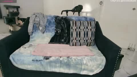 Snapshot of jjjust4fun1985 chatting on 2, 1, 2025 Nicole Allen online show from 2, 1, 2025