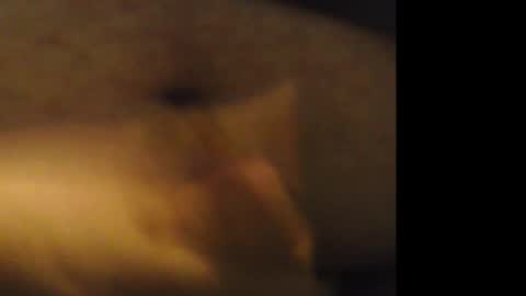 firejoepro2 online show from 21, 2, 2026