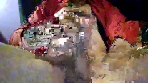 Snapshot of joe_says_hi chatting on 16, 11, 2025 joe_says_hi online show from 16, 11, 2025