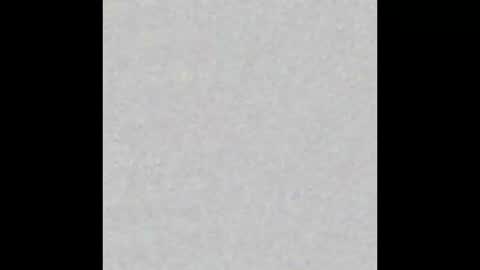 joey1smart online show from 19, 3, 2026