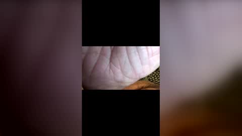 Snapshot of john091254 chatting on 26, 4, 2026 john091254 online show from 26, 4, 2026