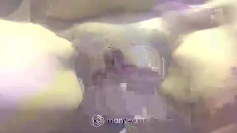 Snapshot of johnnyshung1 chatting on 2, 3, 2025 johnnyshung1 online show from 2, 3, 2025