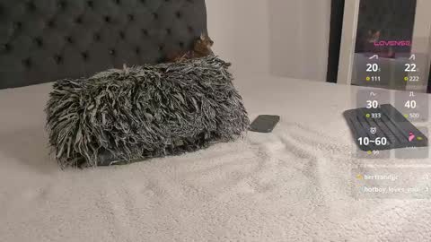 Will online show from 7, 3, 2025