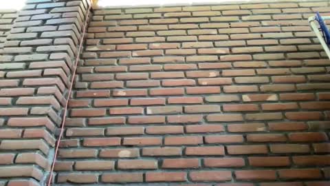 Snapshot of jorger577268 chatting on 9, 2, 2025 JorgeMAXX online show from 9, 2, 2025