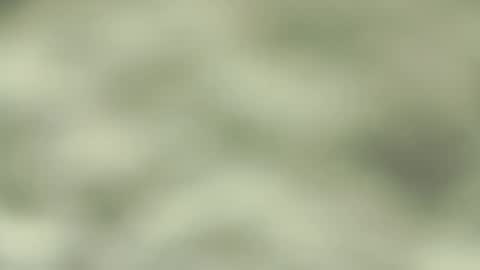 Jorge San online show from 9, 3, 2025