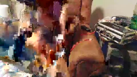 Josef online show from 22, 1, 2025