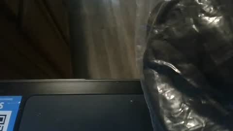 sissy josphine online show from 8, 1, 2025