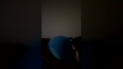 joshua_b11 online show from 28, 3, 2026