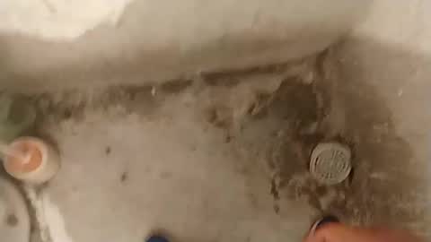 joss013 online show from 5, 1, 2025