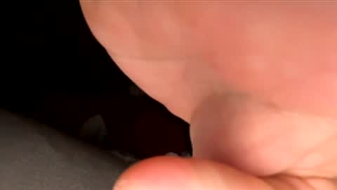 jst33456 online show from 30, 11, 2025