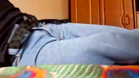 juan488826 online show from 23, 3, 2026