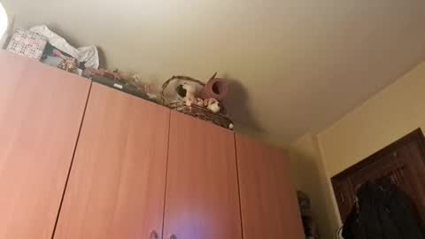 juanka85564456 online show from 20, 1, 2025