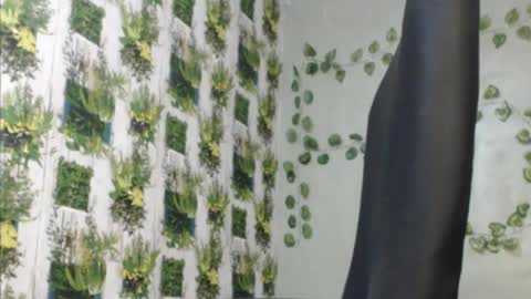 Mariagold online show from 9, 12, 2024