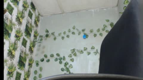 Mariagold online show from 13, 2, 2025