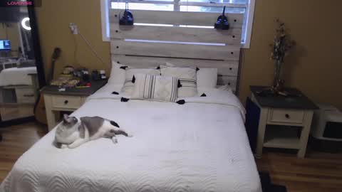 Texas Mamasita online show from 3, 1, 2025