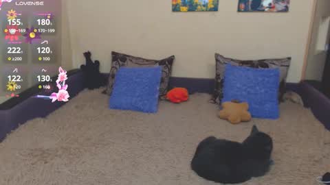 Jul online show from 21, 2, 2026