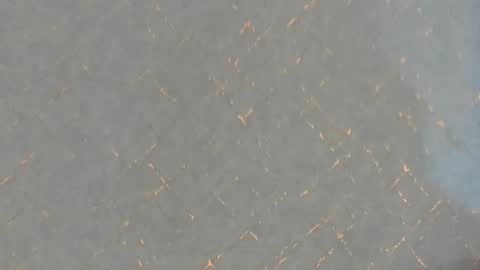 junosomnum online show from 1, 3, 2025