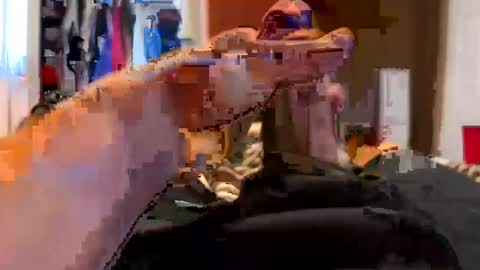 jussumwun online show from 1, 1, 2025