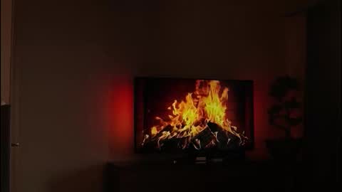 just_dakota_ online show from 19, 2, 2026