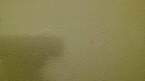 Just marlon online show from 3, 3, 2025