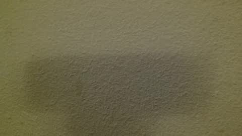 Just marlon online show from 8, 3, 2025