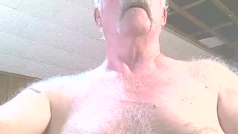 justdon online show from 24, 6, 2026