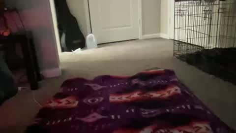 JustinCase online show from 14, 3, 2026