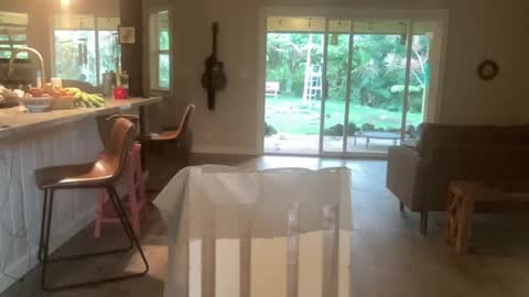 Snapshot of kaileeshy chatting on 1, 10, 2025 Kailee Smile online show from 1, 10, 2025