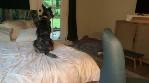 Kailee Smile online show from 7, 2, 2026