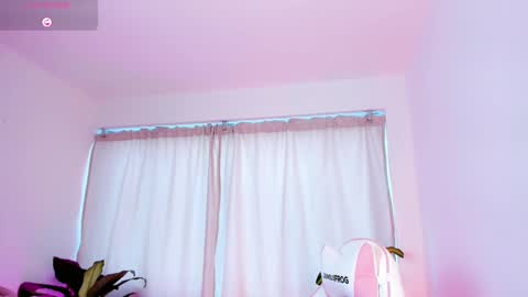 Snapshot of kali_ka chatting on 28, 2, 2025 Kali Ka Please help me with your thumbs up its important dont forget my birthday on October 26 online show from 28, 2, 2025