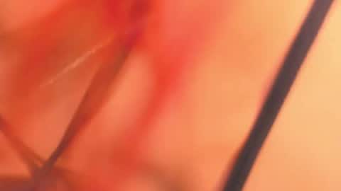 KarinaBelov  online show from 18, 2, 2025