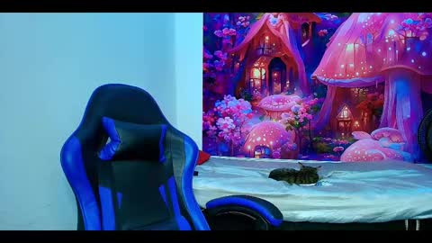    online show from 23, 10, 2025