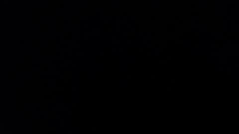 ARIANNA  online show from 31, 1, 2025