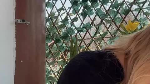 Snapshot of karoline121 chatting on 17, 3, 2026 karoline121 online show from 17, 3, 2026