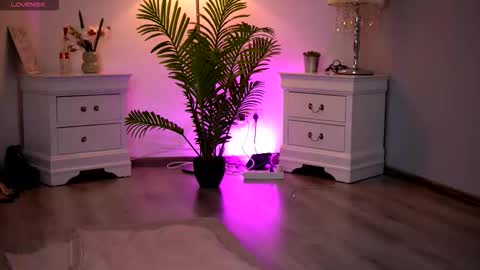 Kassidy online show from 11, 2, 2026